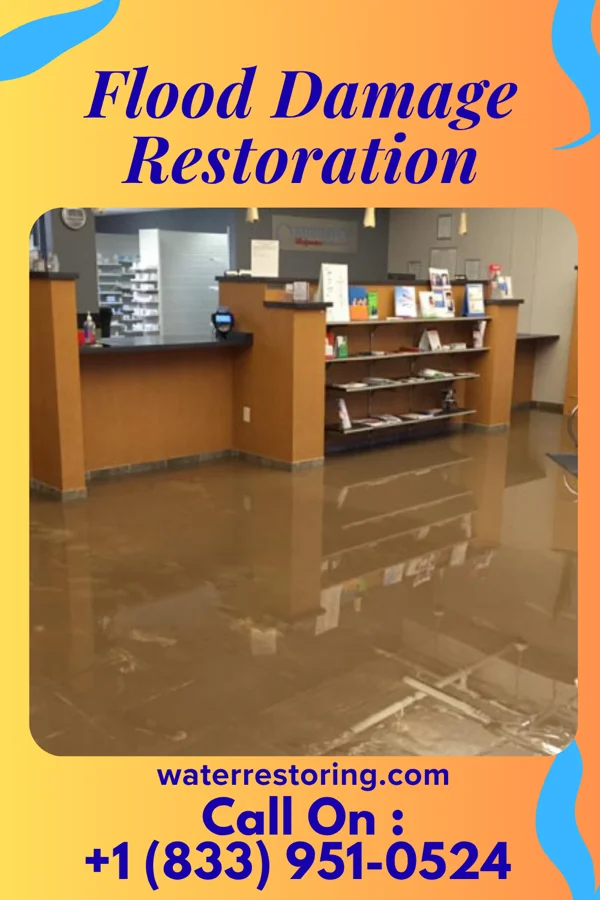Flood Damage Restoration in Harding, IL